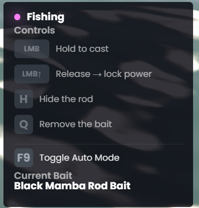 Fisherman Fishing Info