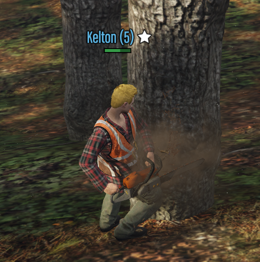 Lumberjack Cut Tree
