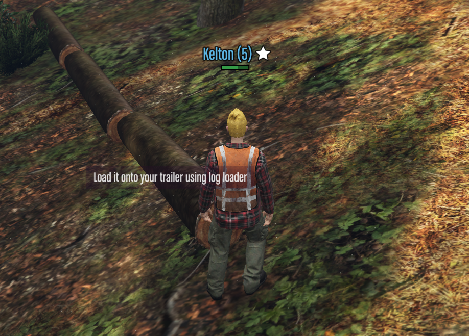 Lumberjack Logs