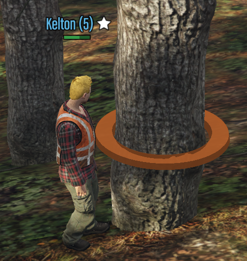 Lumberjack Marked Tree
