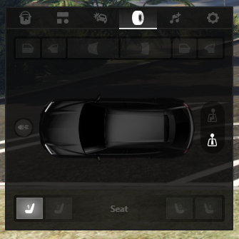 Control Vehicul