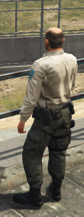 Corrupt Guard for Bribe